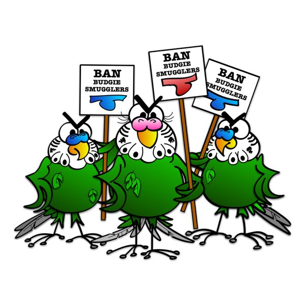 Budgie smugglers no background Thumbnail